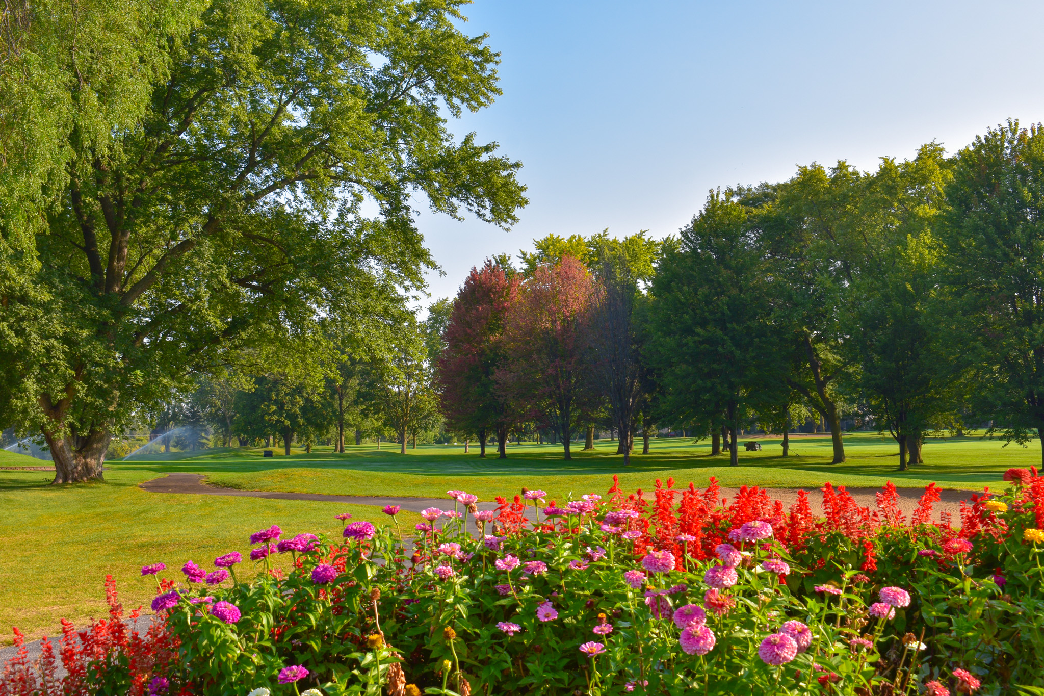 Flowers on golf course fairway
